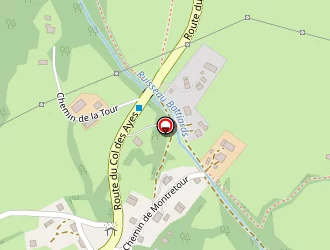 Carte de Forveil Roger à Theys