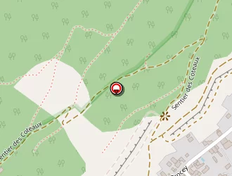 Carte de V.r.s. Auto à Crolles