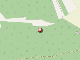 Carte de Stella Jacques à Celles