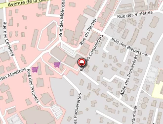 Carte de Socobat à Monistrol-sur-loire