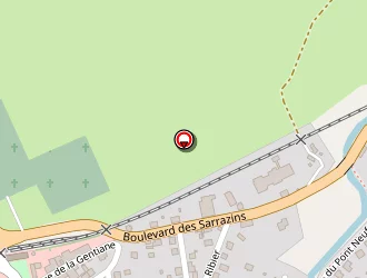 Carte de Elena à Riom-ès-montagnes