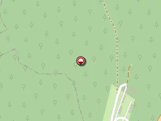 Carte de Maronne Robert à Bassignac