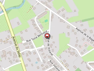 Carte de Cabinet Gauzy Félix à Brioude