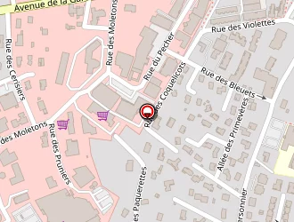 Carte de Passion Beauté à Monistrol-sur-loire