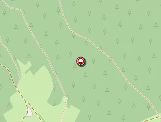 Carte de Magaud Noël à Saint-andré-de-chalencon