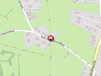 Carte de Pele Padrig à Bas-en-basset