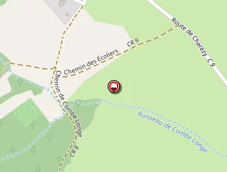 Carte de Fleury Eric à Savas