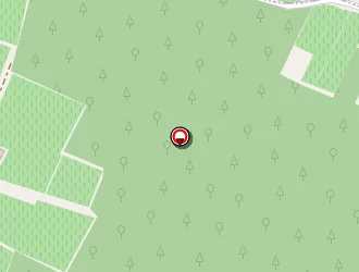 Carte de Roy Nicolas à Saint-germain-d'esteuil