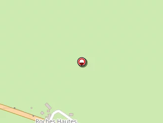 Carte de Flagel Patrick à Riom-ès-montagnes