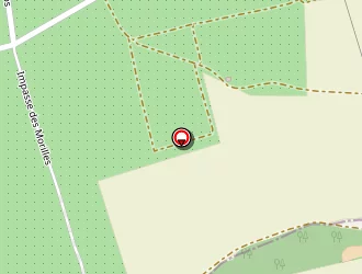 Carte de Bracoud Céline à Chanas