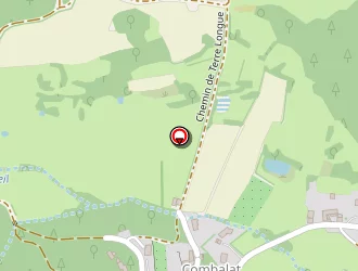 Carte de Junique Vincent à Félines