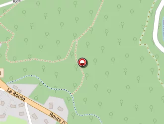 Carte de Fouré Patricia à Naves