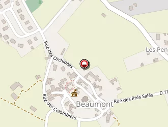 Carte de Mellard Mickael à Beaumont