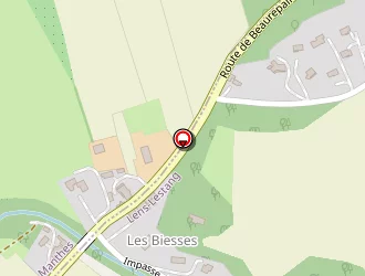 Carte de Frier Marie-laure à Manthes