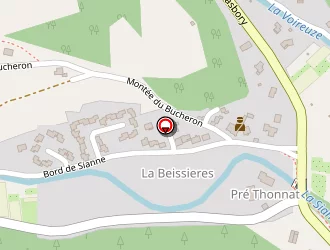 Carte de Agence Taxi Badon à Blesle