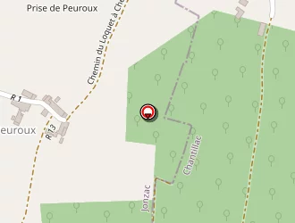 Carte de Faurio Alain à Pin (le)