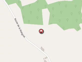 Carte de Malagnoux Patrick à Saint-pardoux-l'ortigier