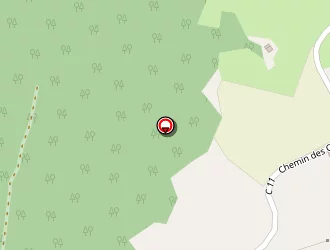 Carte de Michel-mazan Philippe à Saint-pierre-de-chartreuse