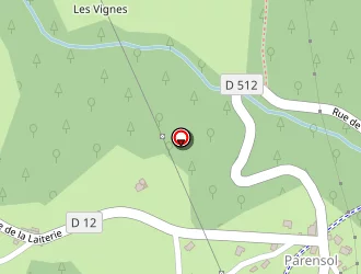 Carte de Massoud Elias à Bassignac