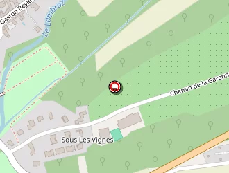 Carte de Intermarché à Chanas