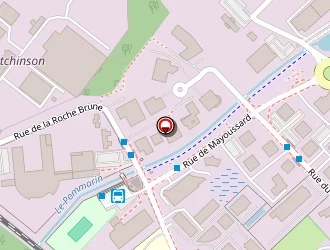 Carte de Vassel à Moirans