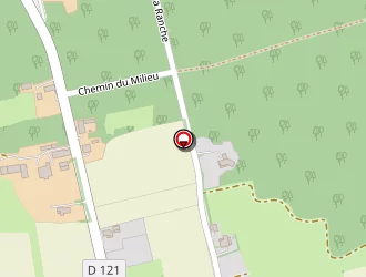 Carte de Sanchès Serge à Lapeyrouse-mornay