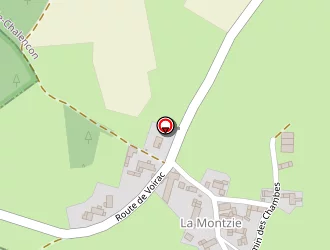 Carte de Roche Michel à Saint-pal-de-chalencon