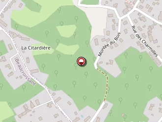 Carte de Alain Todeschini à Renage