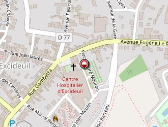 Carte de Delarue Dominique à Excideuil