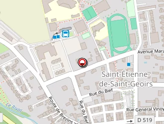 Carte de Citer à Saint-étienne-de-saint-geoirs