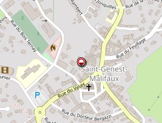 Carte de Np Bâtiment à Saint-genest-malifaux