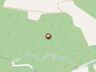 Carte de Parapiglia à Bar