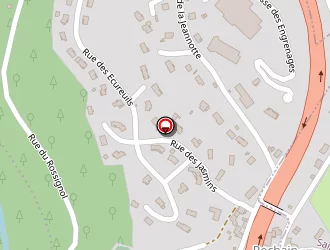 Carte de Les 4 Saisons à Pont-salomon