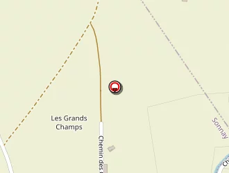 Carte de Alleon Max à Sonnay