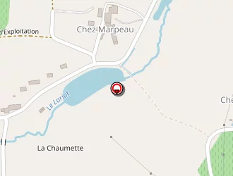 Carte de Circuit De Randonne à Bran