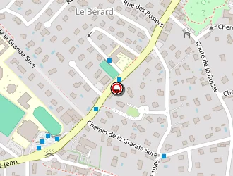 Carte de Roux-sibilon Anthony à Coublevie