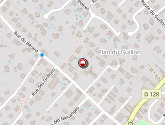 Carte de Roiron Cécile à Coublevie