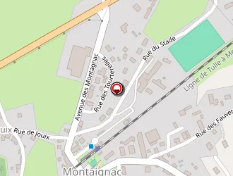 Carte de Lion Frédéric à Montaignac-saint-hippolyte