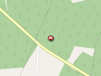 Carte de Tutti Frutti à Juignac