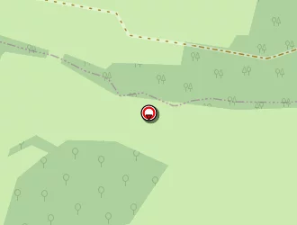 Carte de Circuit De Randonnée à Saint-mesmin