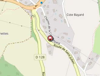 Carte de Janon Serge à Coublevie