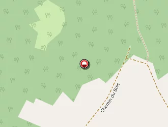 Carte de Foret Aurore à Cercles