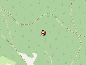 Carte de Le Mid'xpress à Bessat (le)