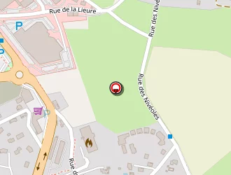 Carte de Steil César à Voiron