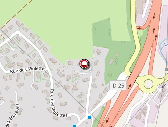 Carte de First Stop Métifiot Pneus Adhérent à Firminy