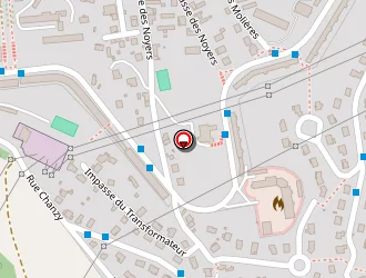 Carte de Cotte Eric à Firminy