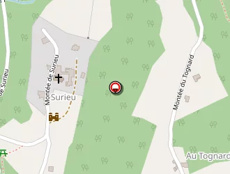 Carte de Decourt Frédérique à Saint-romain-de-surieu