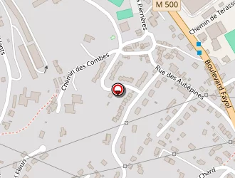 Carte de Picot Ramon à Firminy