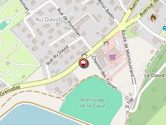 Carte de Viallard Lucile à Allevard