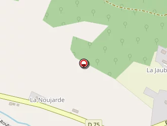 Carte de Daubisse Raymond à Savignac-lédrier